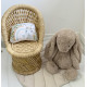 Coussin lapin